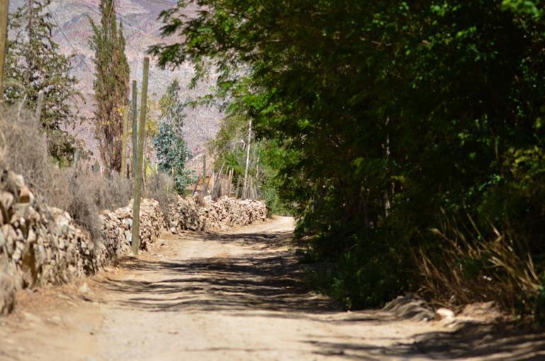 Refugios Pisco Elqui Villa Eksteriør bilde